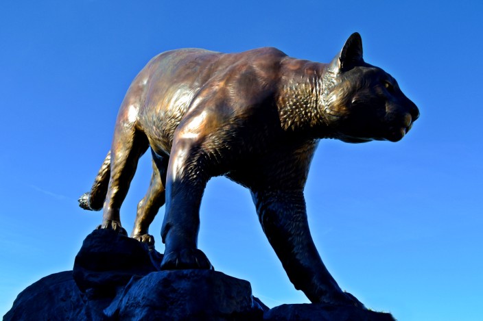 Butch, the Cougar, outside Martin Stadium